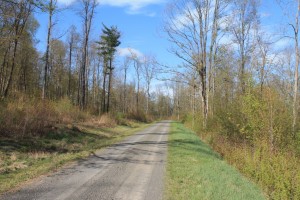 The ditch where the Grouse flew