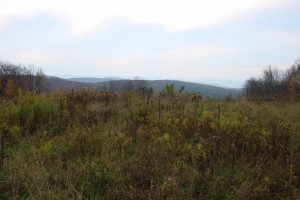 Hills of Central NY